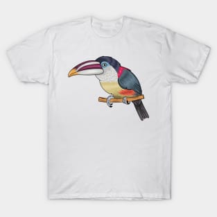 Curl crested aracari bird cartoon illustration T-Shirt